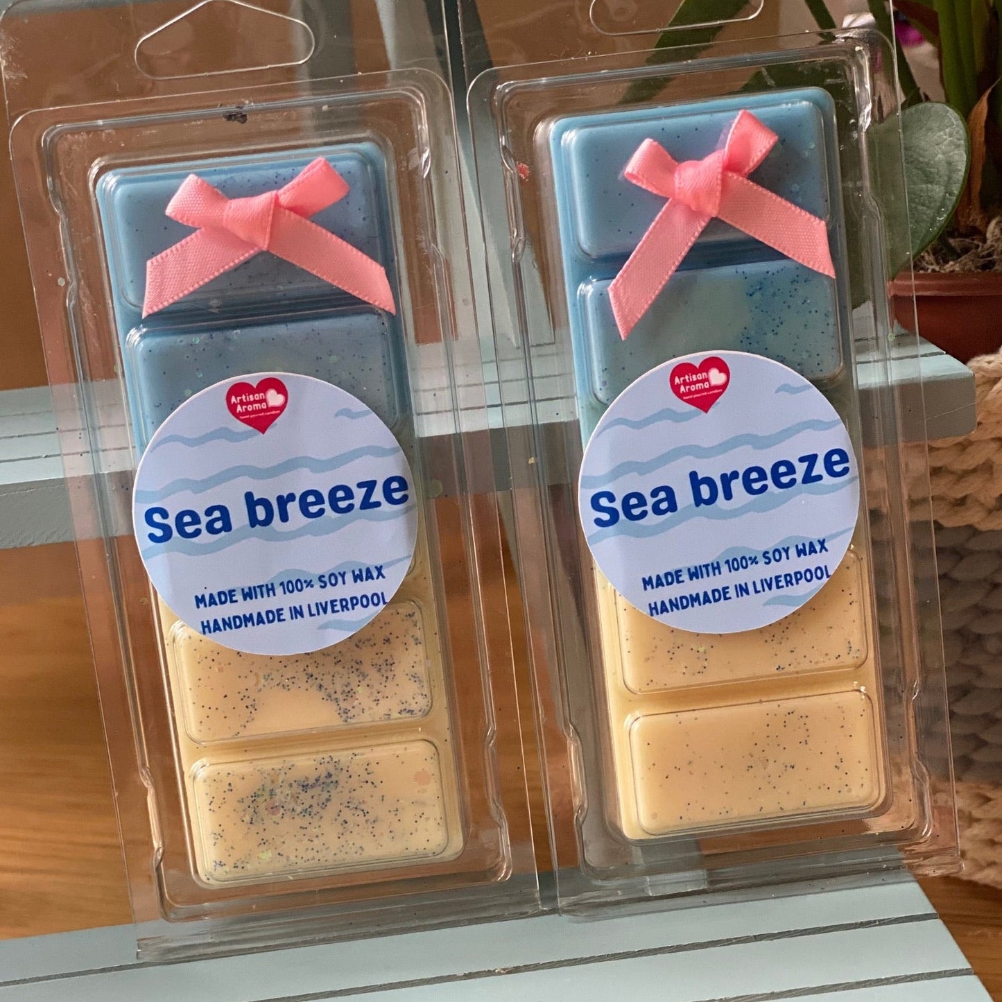 Sea Breeze Wax Melt Snap Bar